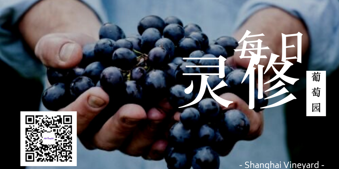 4ffce04d92a4d6cb21c1494cdfcd6dc1-195 图片