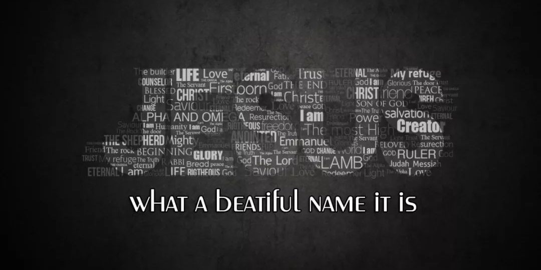 4ffce04d92a4d6cb21c1494cdfcd6dc1-310 图片