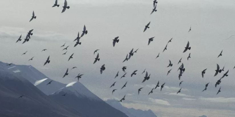 4ffce04d92a4d6cb21c1494cdfcd6dc1-328 图片