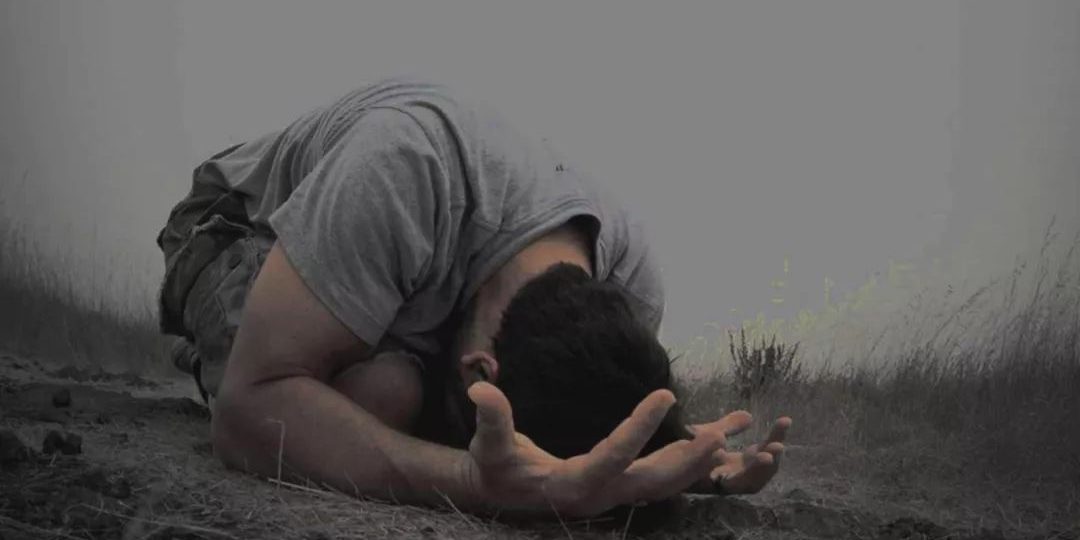 4ffce04d92a4d6cb21c1494cdfcd6dc1-817 图片