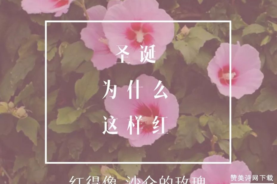 4ffce04d92a4d6cb21c1494cdfcd6dc1-15 图片