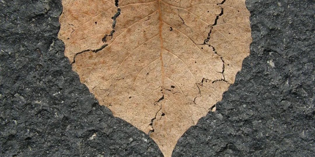 4ffce04d92a4d6cb21c1494cdfcd6dc1-58 图片