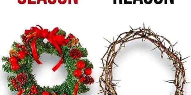 4ffce04d92a4d6cb21c1494cdfcd6dc1-43 图片