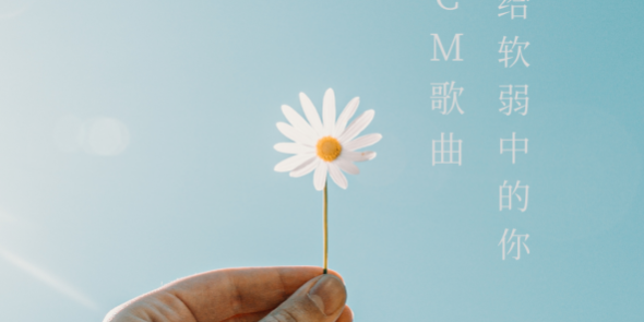 4ffce04d92a4d6cb21c1494cdfcd6dc1-213 图片