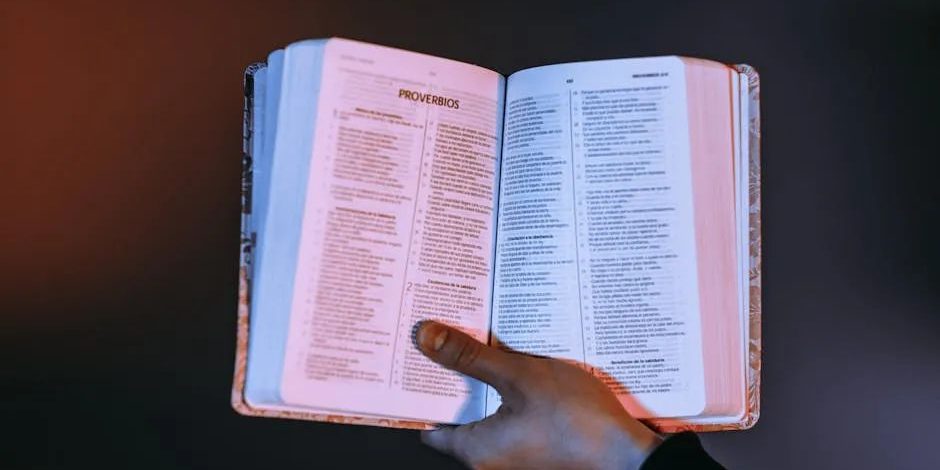 4ffce04d92a4d6cb21c1494cdfcd6dc1-41 图片